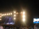 109-0947_IMG_Offspring