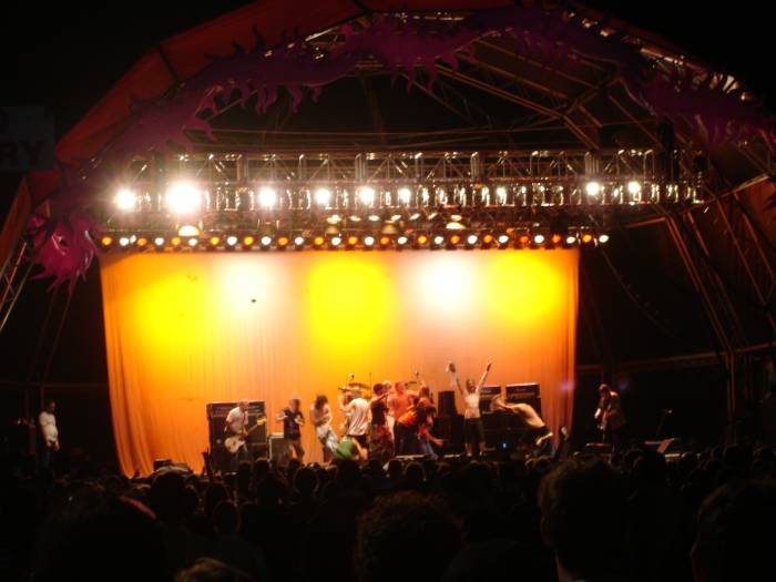DSC06014 Iggy Pop and The Stooges and the Crowd