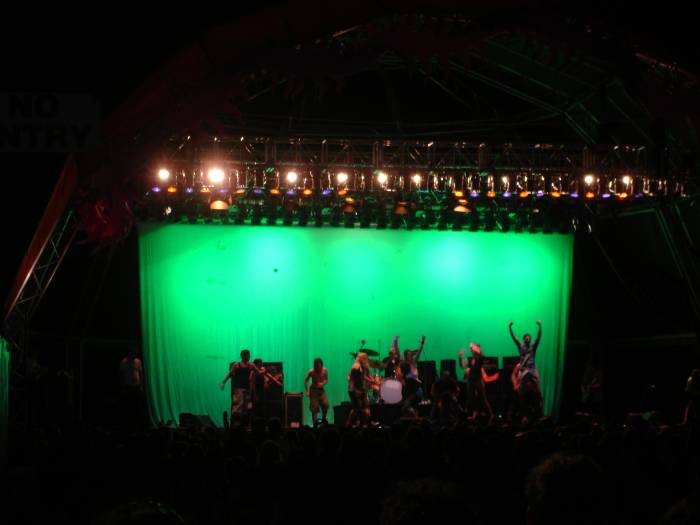 DSC06026 Iggy Pop and The Stooges and the Crowd
