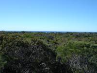 DSC01317 
