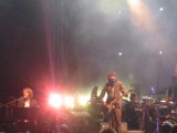 Whitlams