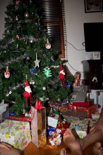 IMG_4464.jpg