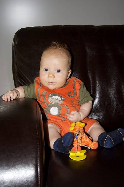 IMG_3739.jpg