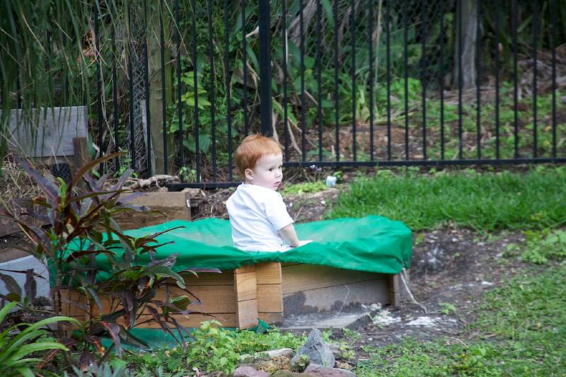 IMG_0919.jpg