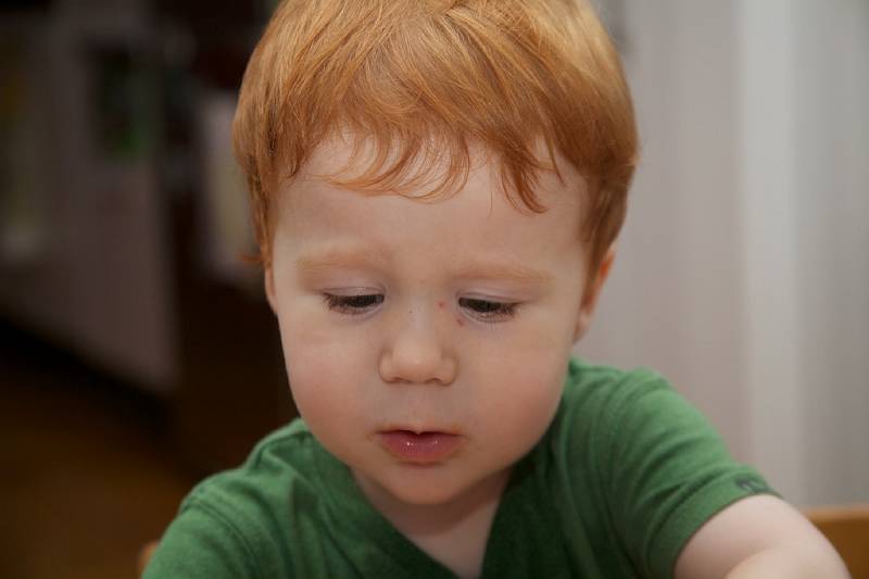 IMG_6812.jpg