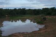 IMG_5577 