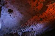 IMG_0386 
