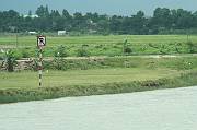 IMG_0492 
