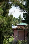 IMG_0676 