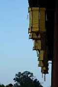 IMG_0778 
