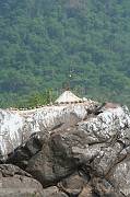 IMG_9735 