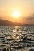 IMG_1479 