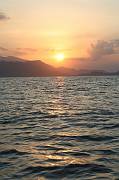 IMG_1501 