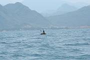 IMG_1638 