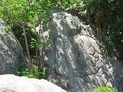 IMG_1853 