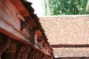 IMG_9373 