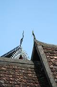 IMG_9386 