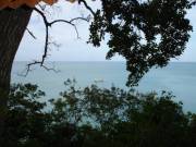 DSC03004 