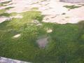 109-0969_IMG.JPG (1024x768)