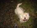124-2452_IMG.JPG (1024x768)