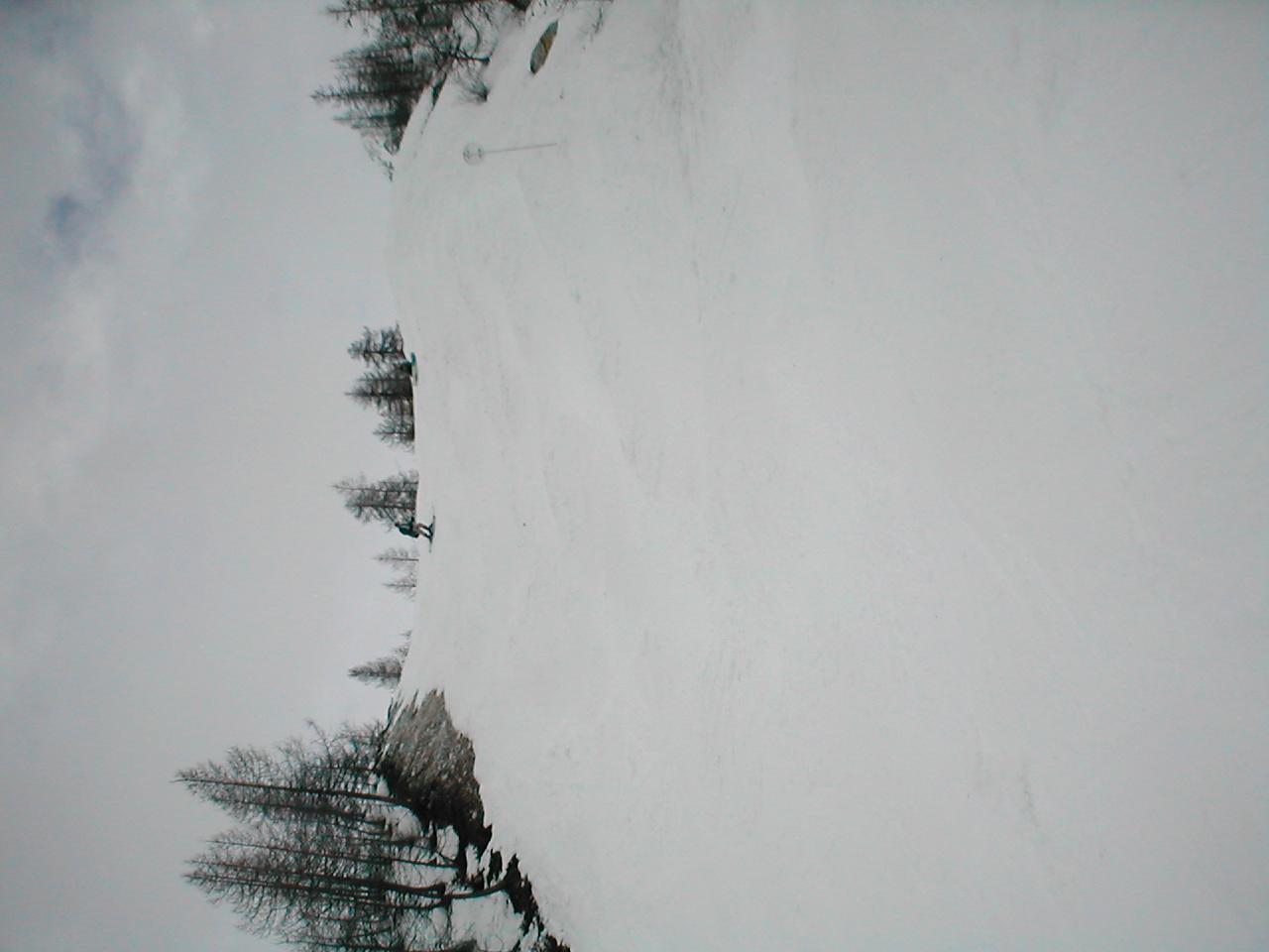 P3150061