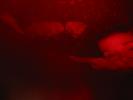 107-0771_IMG