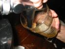 130-3025_IMG