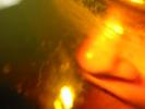 130-3057_IMG