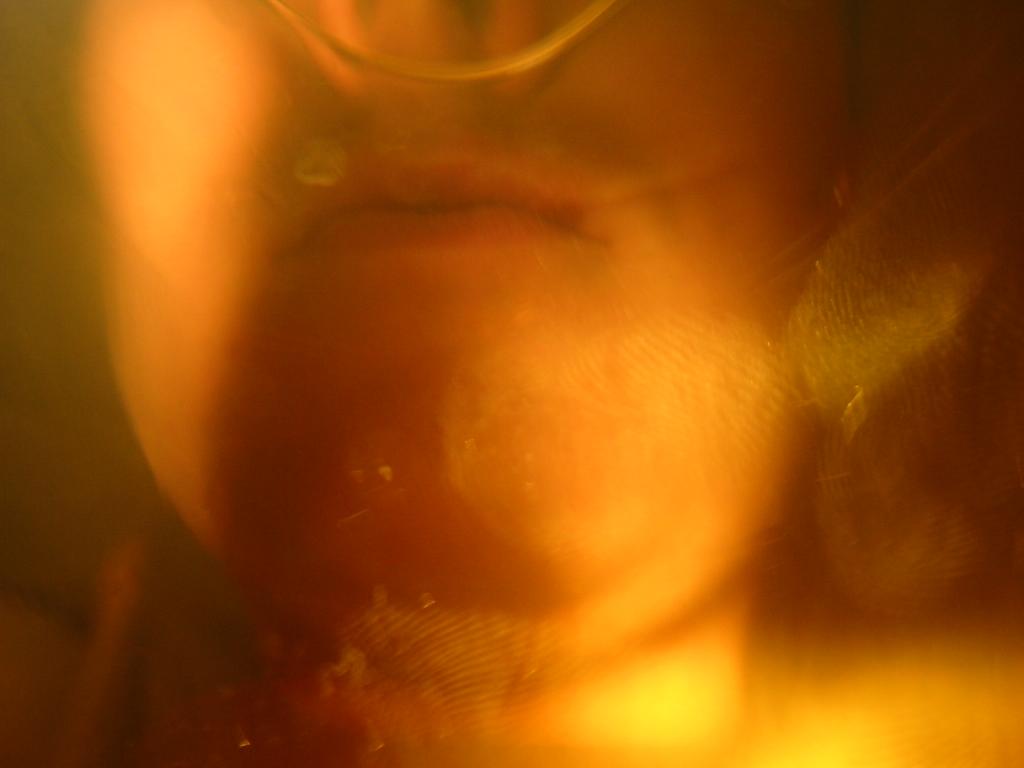 130-3001_IMG
