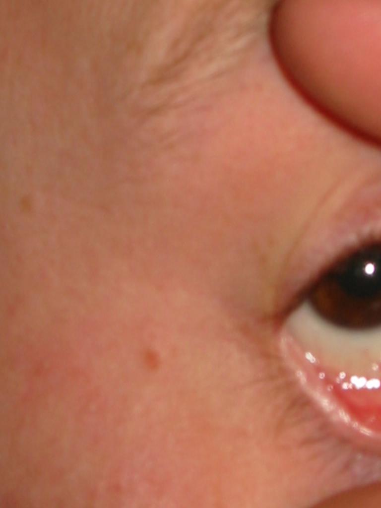 130-3009_IMG
